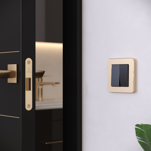 Рамка из металла на 1 пост Platinum шампань W0012611 фото 3 Рамка из металла на 1 пост Platinum шампань W0012611 фото 3