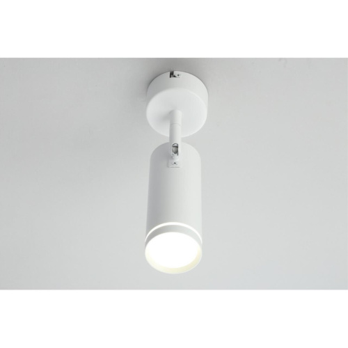 Светильник настенно-потолочный OML-102219-12 фото 2 Светильник настенно-потолочный OML-102219-12 фото 2