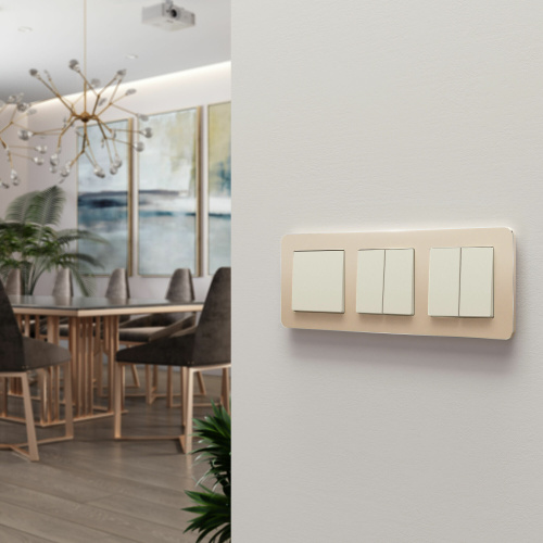 Выключатель двухклавишный (айвори матовый) W1120062 фото 5