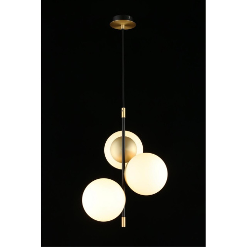 Светильник подвесной APL.313.06.03 фото 8