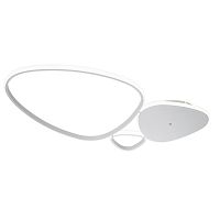 Настенно-потолочный свет Escada 10289/3 LED*81W White