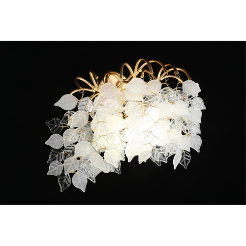 Светильник настенный (Бра) APL.849.01.03 фото 7