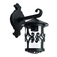 Уличный настенный светильник Arte Lamp PERSIA A1452AL-1BG