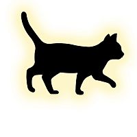 Настенный светильник Escada 10209/SG LED*5W Black