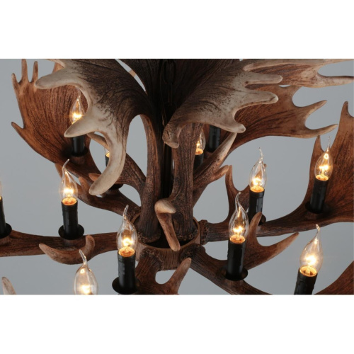 Люстра подвесная OML-52203-12 фото 8 Люстра подвесная OML-52203-12 фото 8