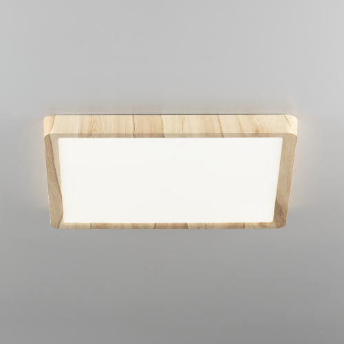Citilux Бейсик CL738K242V LED Светильник накладной Клён фото 2