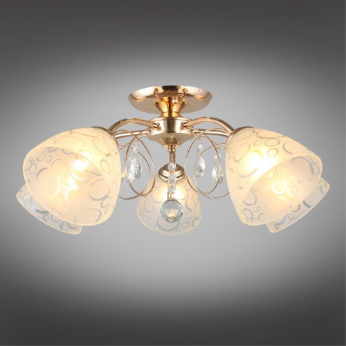 Люстра потолочная OML-29007-05 фото 3 Люстра потолочная OML-29007-05 фото 3