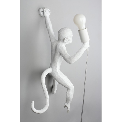 Светильник настенный (Бра) APL.309.01.01 фото 6