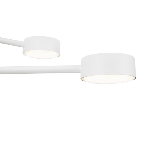 Потолочный светильник Freya FR5363CL-06W фото 8