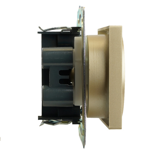GLS10-7113-08 Розетка 2-местная с защитной шторкой (механизм) б/з, 250В, 10А, серия Катрин, золото фото 6