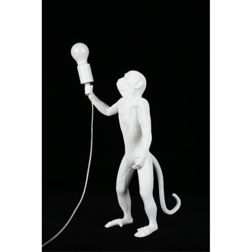 Настольная лампа APL.309.04.01 фото 13 Настольная лампа APL.309.04.01 фото 13