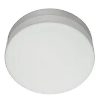Потолочный светильник Arte Lamp AQUA A3211PL-2WH