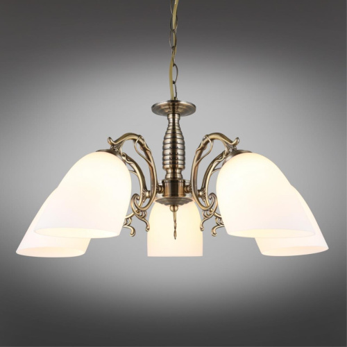 Люстра подвесная OML-56407-05 фото 3