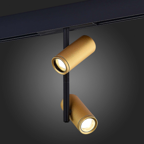 ST808.246.16 Магнитный трековый светильник Золотистый LED 1*16W 4000K 1 250Lm Ra>90 36° IP20 D45xH24 SKYLINE 48 фото 5