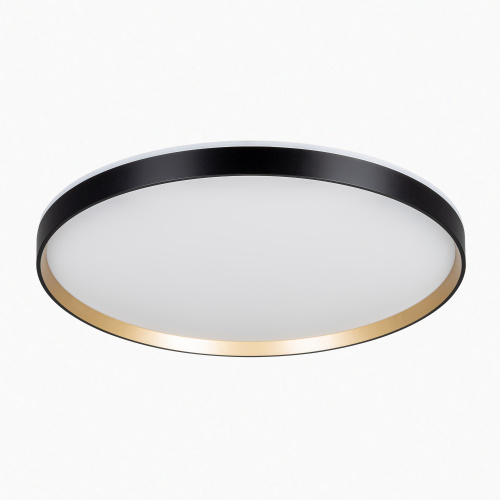 Citilux ETALON CL750501R LED RGB Светильник с пультом Чёрный+Золото фото 9 Citilux ETALON CL750501R LED RGB Светильник с пультом Чёрный+Золото фото 9