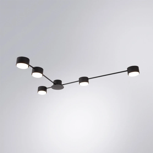 Потолочная люстра Arte Lamp TRACY A1527PL-5BK фото 2