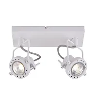 Спот Arte Lamp COSTRUTTORE A4300AP-2WH