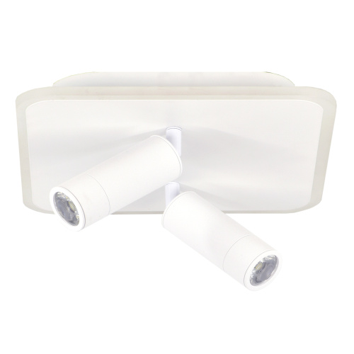 Настенно-потолочный свет Escada 20024SMA/01 LED 31W 4000K белый фото 2