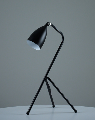 Лампа настольная Moderli V10998-T Show фото 3