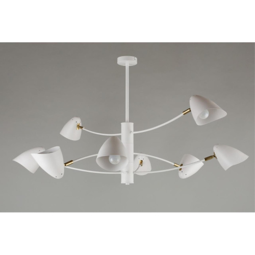 Люстра потолочная OML-29717-08 фото 7 Люстра потолочная OML-29717-08 фото 7