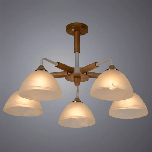 Потолочная люстра Arte Lamp MATTHEW A5032PL-5BR фото 2