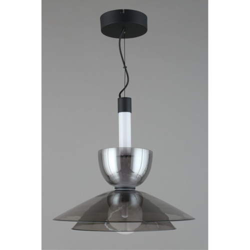 Светильник подвесной APL.772.16.12 фото 2