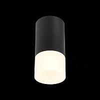 ST100.412.01 Светильник потолочный Черный GU10 1*50W IP20 D64xH131 220V Без ламп Накладные светильники