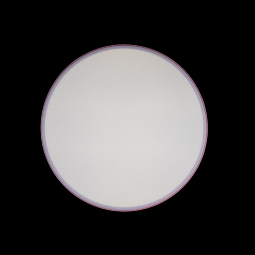 10002/24 Pink Потолочный светильник LOFT IT Axel фото 4