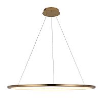 10014XL Подвесной светильник LOFT IT Ring