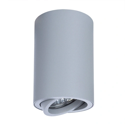 Точечный накладной светильник Arte Lamp SENTRY A1560PL-1GY фото 3