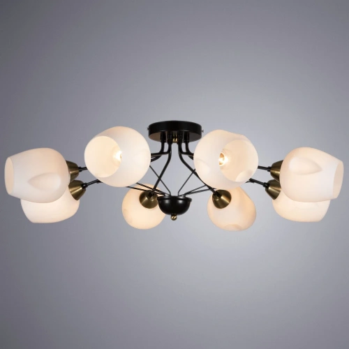 Потолочная люстра Arte Lamp BRIGHTON A2706PL-8CK фото 2 Потолочная люстра Arte Lamp BRIGHTON A2706PL-8CK фото 2