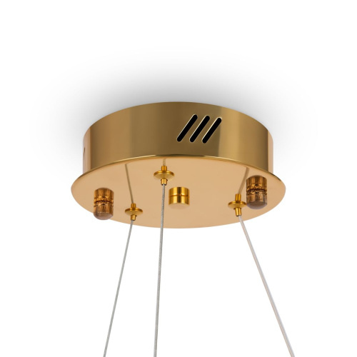 Подвесной светодиодный светильник Freya Tier FR5257PL-L17G фото 2