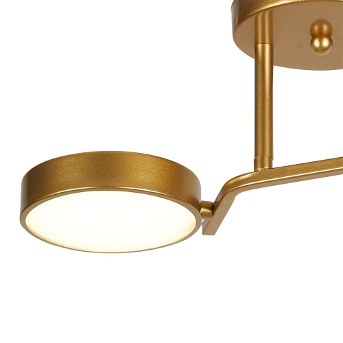 Потолочный светильник Escada 10273/2 LED*24W Champagne gold фото 2 Потолочный светильник Escada 10273/2 LED*24W Champagne gold фото 2
