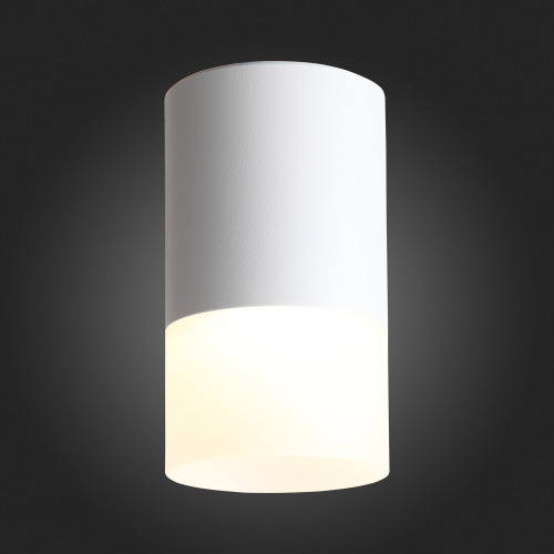 ST100.502.05 Светильник потолочный Белый LED 1*5W 3000K 390Lm Ra>80 120° D64xH110 170-240V Накладные светильники фото 9
