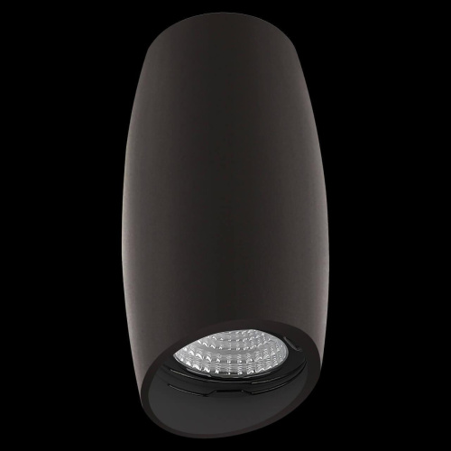 Потолочный светильник Lightstar Ballo 214467 фото 2