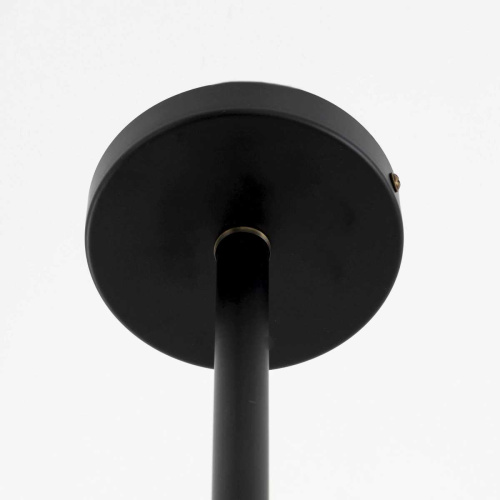 Потолочная люстра Citilux Планета CL105295 фото 5