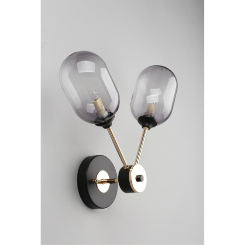 Светильник настенный (Бра) OML-94801-02 фото 6