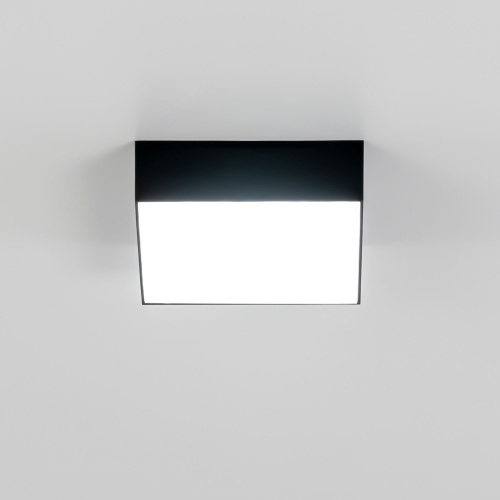 Citilux Тао CL712X122N LED Светильник потолочный с диммером Чёрный фото 22 Citilux Тао CL712X122N LED Светильник потолочный с диммером Чёрный фото 22