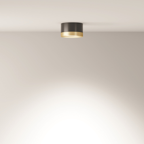 Потолочный светильник Technical C086CL-GX53-SRD-BG фото 4