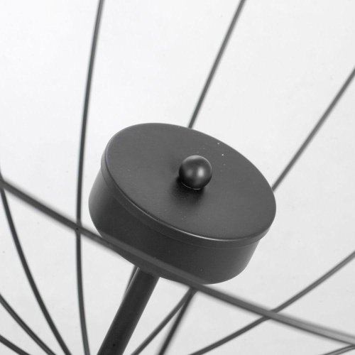 Подвесная люстра Lussole Lgo Lattice GRLSP-8216 фото 4