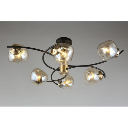 Люстра потолочная OML-95307-06 фото 5 Люстра потолочная OML-95307-06 фото 5