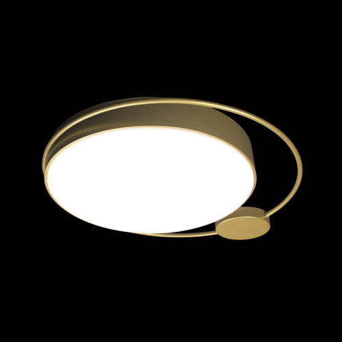 10063 Потолочный светильник LOFT IT Mike фото 5 10063 Потолочный светильник LOFT IT Mike фото 5