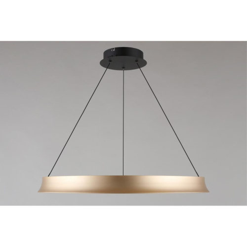 Люстра подвесная APL.787.03.50 фото 17