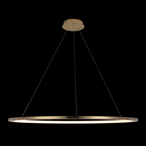 10014XXL Подвесной светильник LOFT IT Ring фото 3 10014XXL Подвесной светильник LOFT IT Ring фото 3