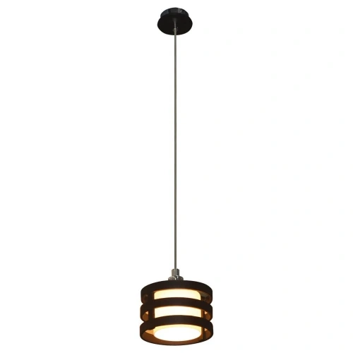 Подвесной светильник Arte Lamp RING A1320SP-1BK Подвесной светильник Arte Lamp RING A1320SP-1BK