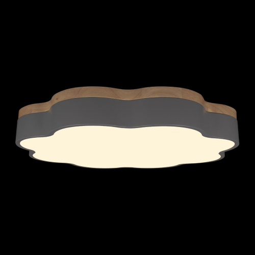 10225/36 Grey Потолочный светильник LOFT IT Axel фото 4