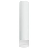 R49631 Светильник RULLO HP16 (214496+202431)