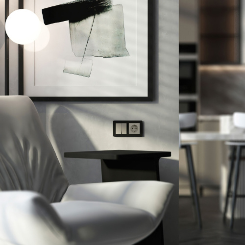 Выключатель двухклавишный (дымчатый) W1220004 фото 6