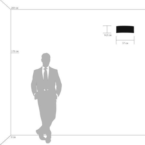 Настенный светильник Lightstar Amerigo 746618 фото 3