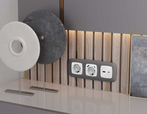 Комплект механизма электрической розетки Ambrella Volt OMEGA Белый глянец 2USB A+C 20W (быстрая зарядка) с/з QUANT (OP1100, VM160) MO110010 фото 4 Комплект механизма электрической розетки Ambrella Volt OMEGA Белый глянец 2USB A+C 20W (быстрая зарядка) с/з QUANT (OP1100, VM160) MO110010 фото 4